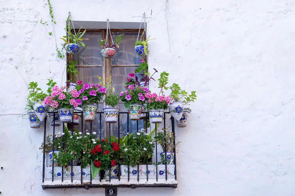 Container Garden Magic: Turning Balconies into Amazing Blossoming Havens