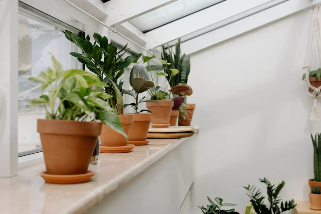 Discover the Remarkable Benefits of Indoor Vegetable Gardening