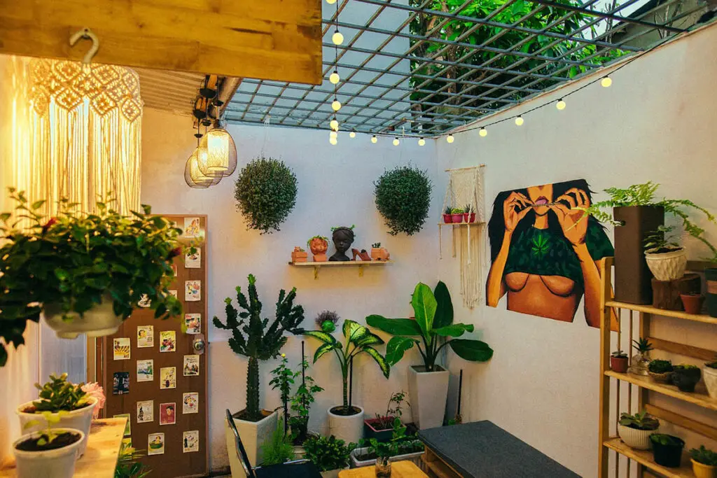 indoor garden
