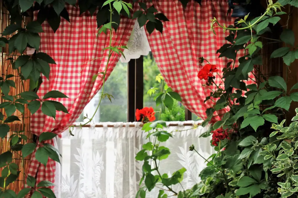 indoor garden, vertical garden
