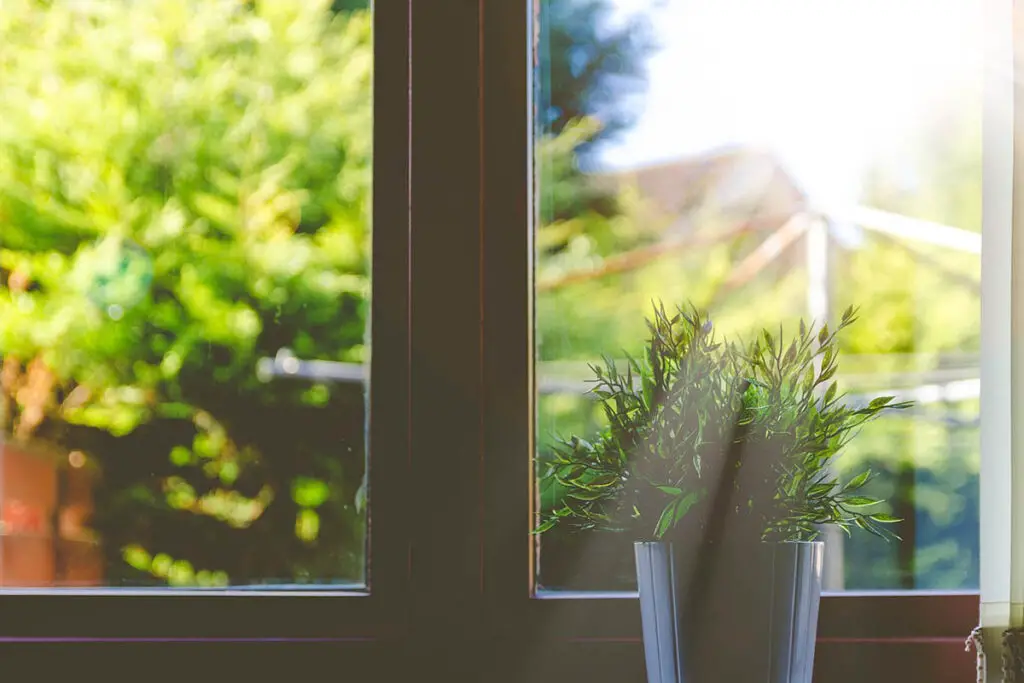 window ledge garden