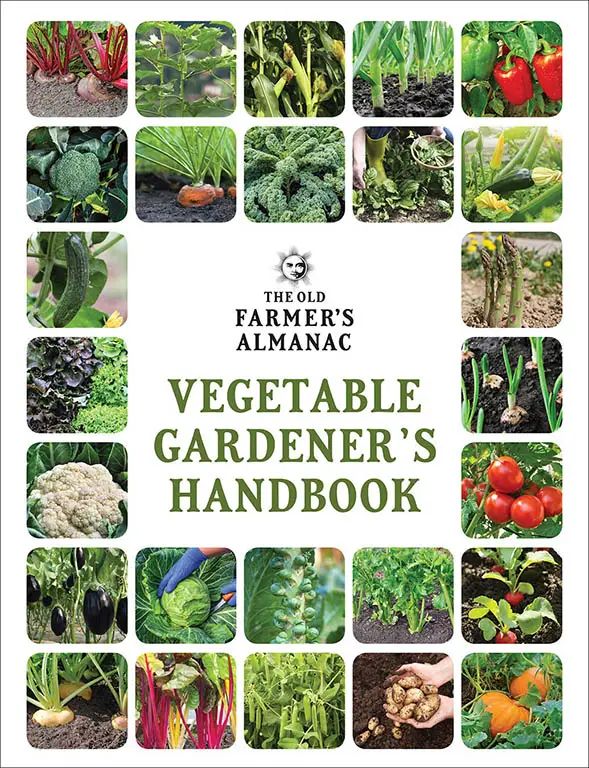 Books on container and vegetable gardening