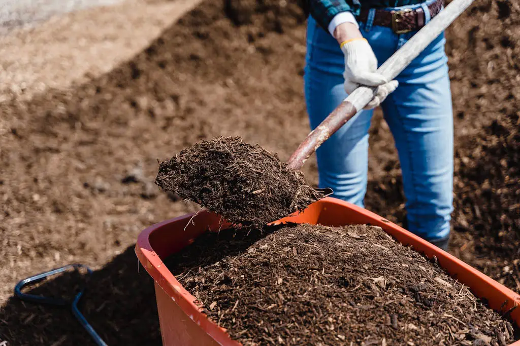 Brown Soil in Orange Plastic Bucket
