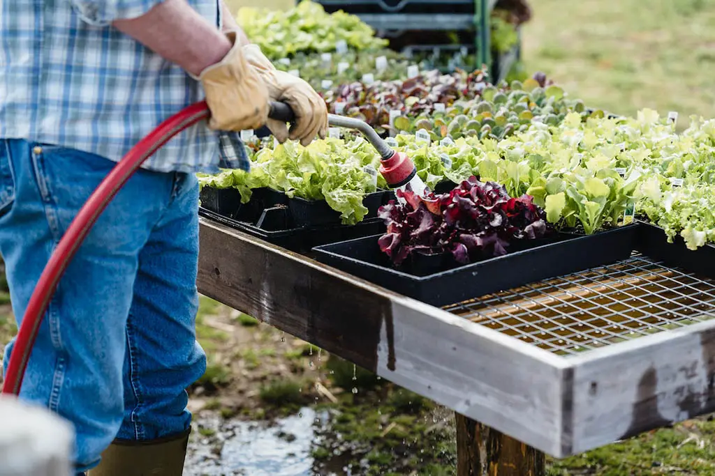 fabric container gardening